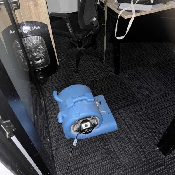 Commercial air mover deployed in Park Hyatt Auckland office for carpet drying