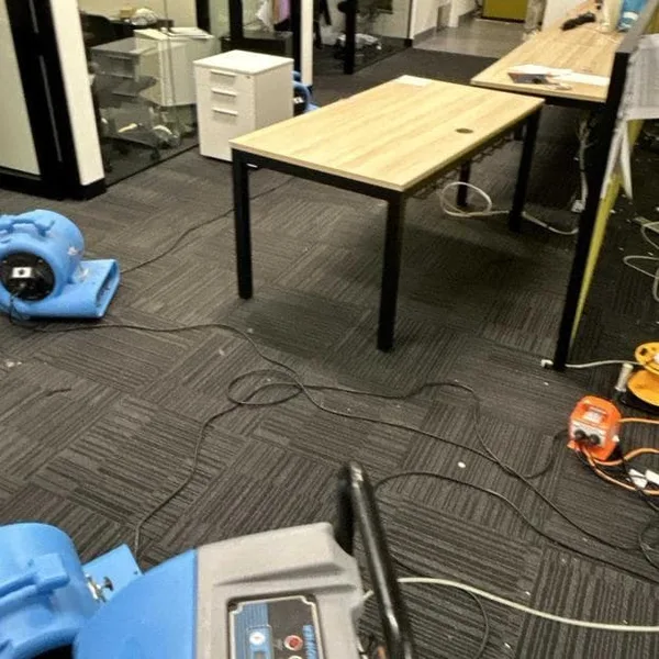 Multiple blowers and dehumidifier deployed across Park Hyatt Auckland basement office
