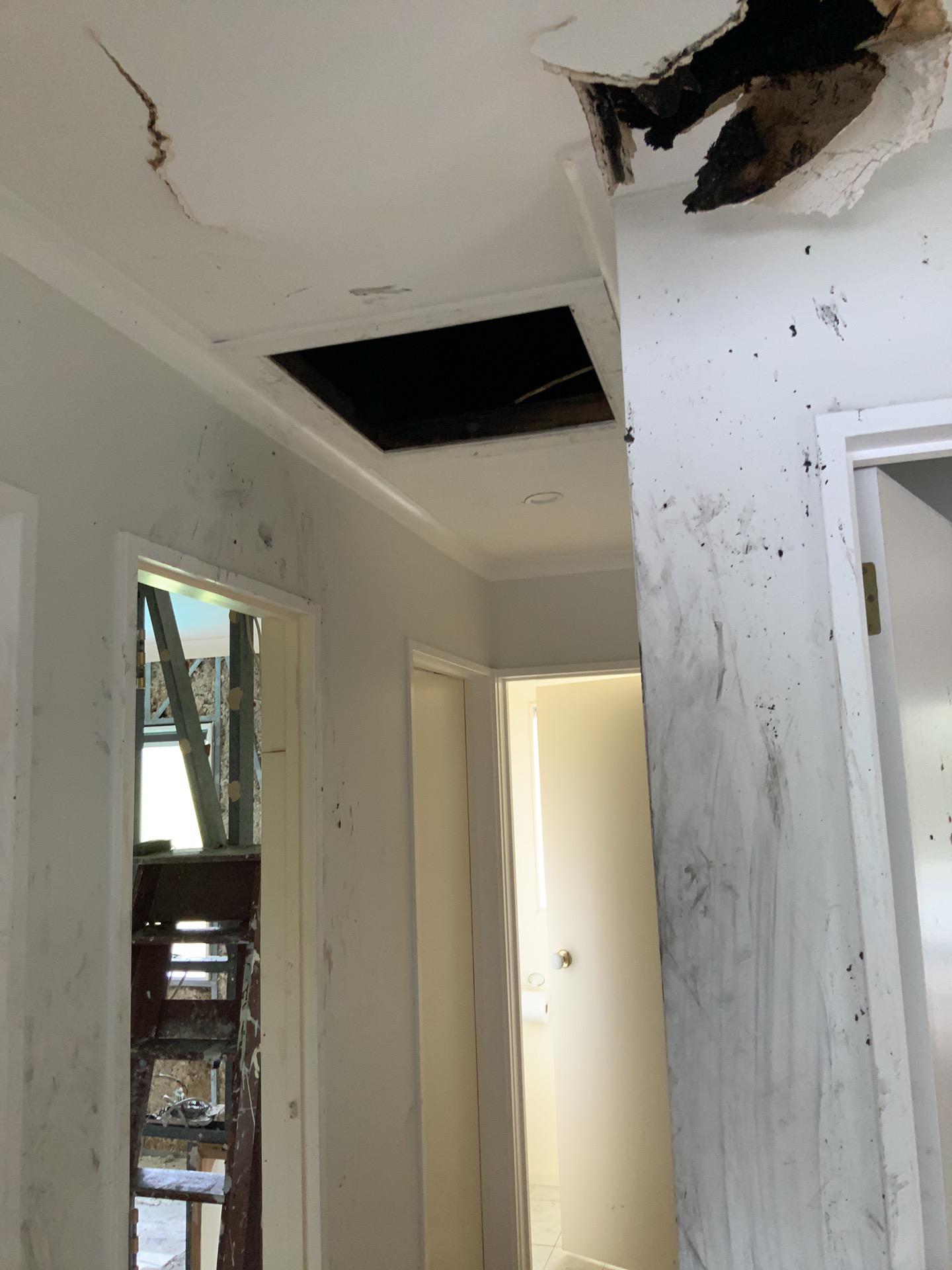 iDry fire damage restoration work in Auckland property