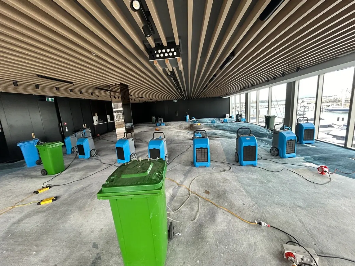 iDry flood restoration equipment and professional team
