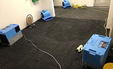 Professional flood and fire restoration equipment set up in Auckland home
