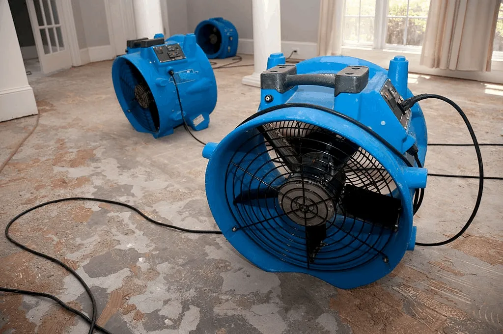 Professional flood restoration equipment deployed in an Auckland home