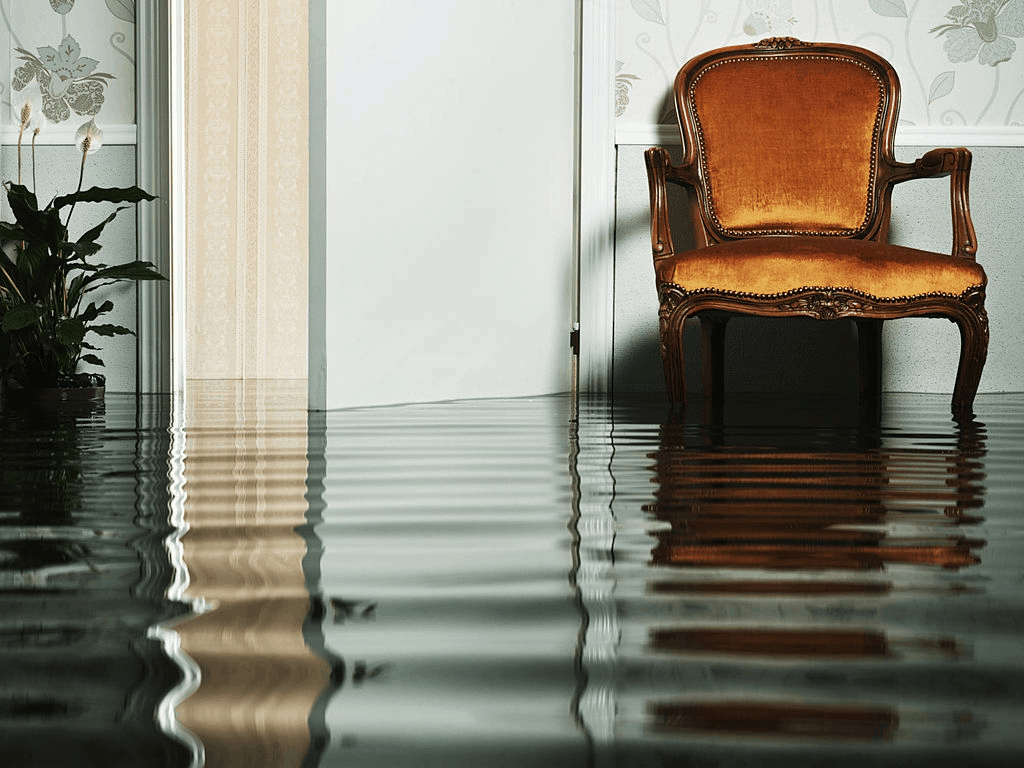 Flooded Auckland home requiring emergency restoration